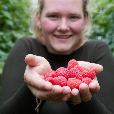 2108 134A4422 Fruitweelde Willemien