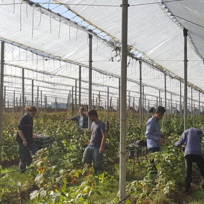 a9bffd42-5c7f-4944-967a-3aef30388db7